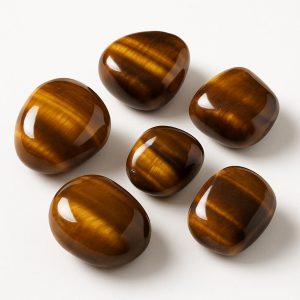 تامبل چشم ببر