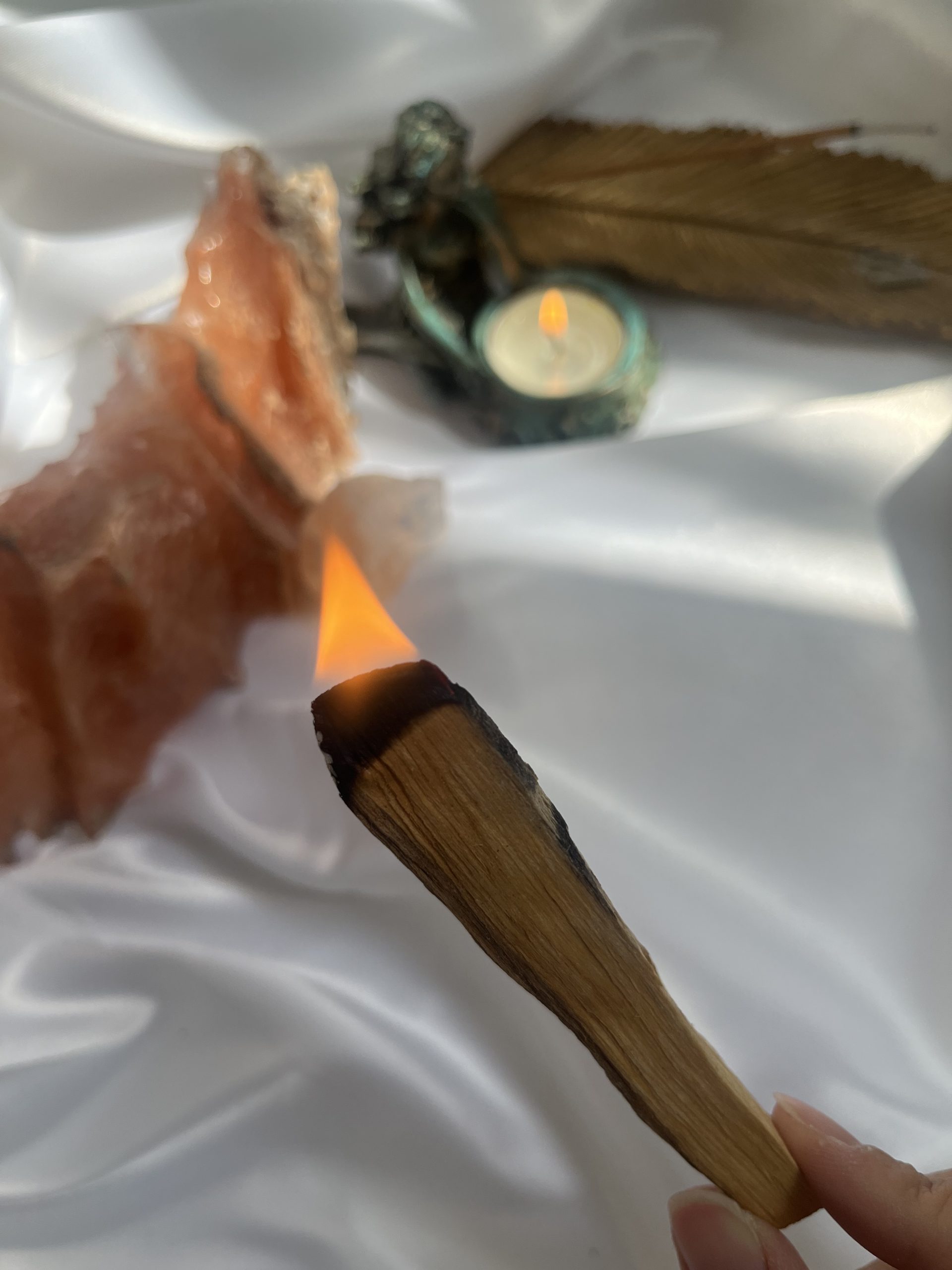 چوب پالوسانتو - Image 2