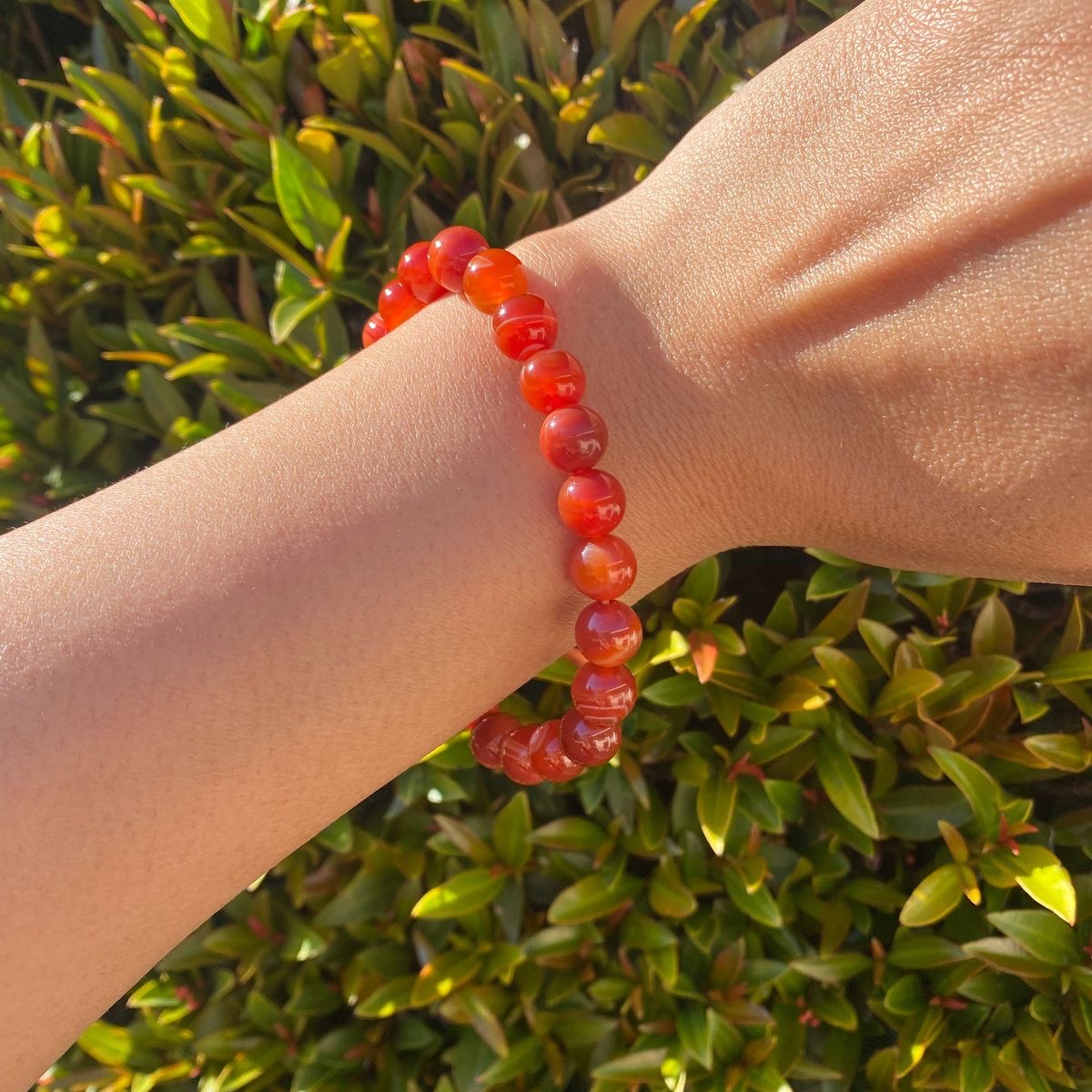 پک مروارید عشق | کنسر صدف با مروارید پرورشی و ست کامل زیورآلات