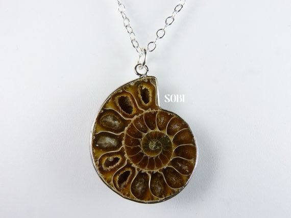 گردنآویز آمونیت طبیعی . سوبی گالری