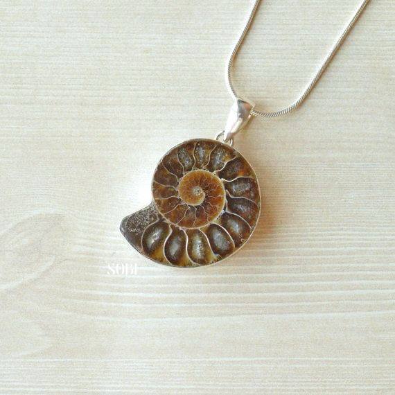 گردنآویز آمونیت طبیعی - Image 3