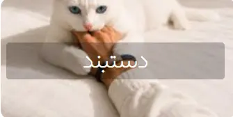 دستبند سنگی