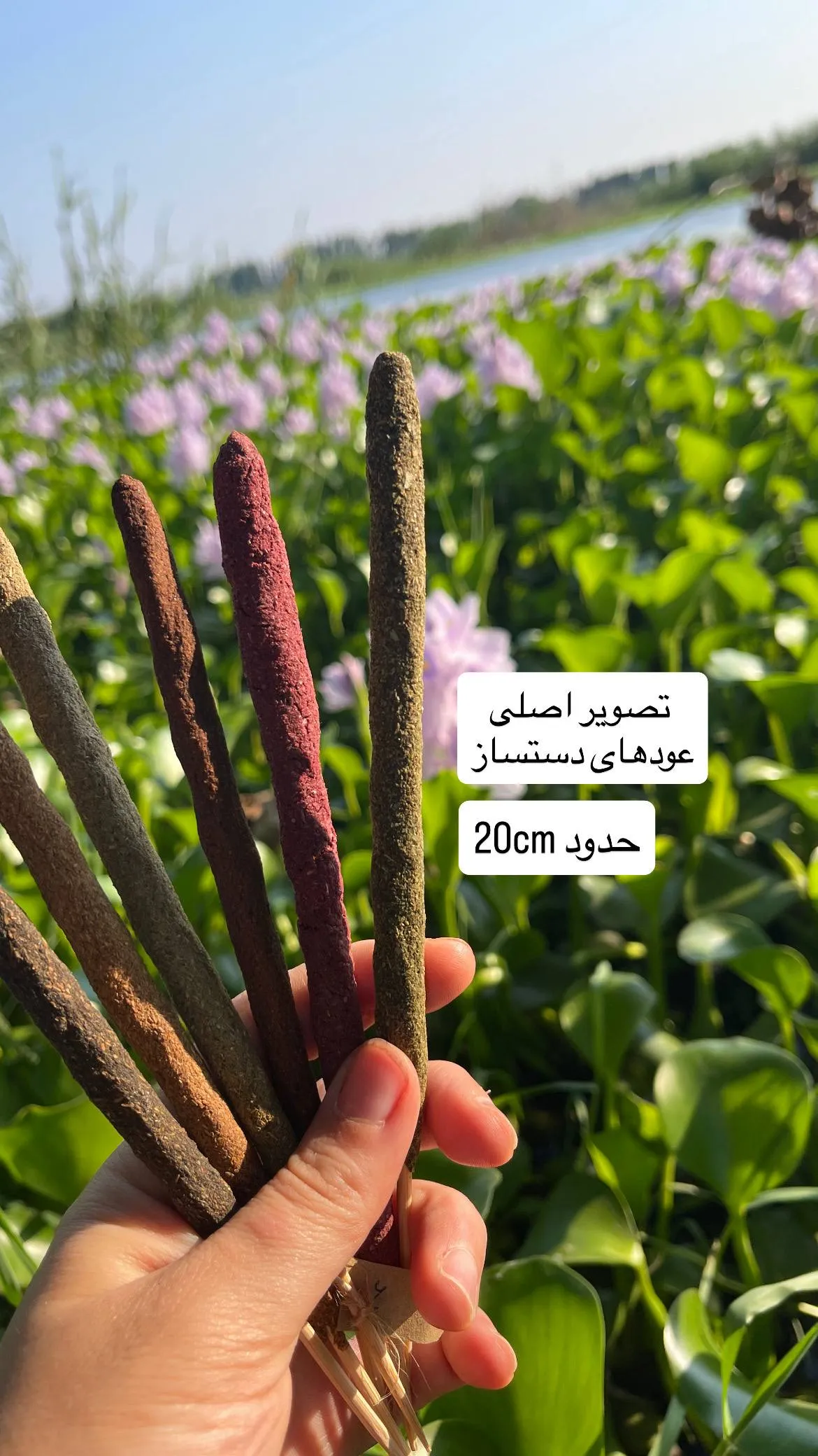 عود دستساز سوبی گالری